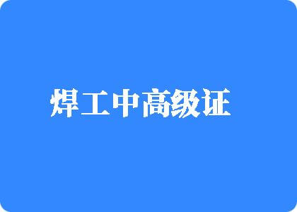 插bbb视频污污污下载焊工中高级证